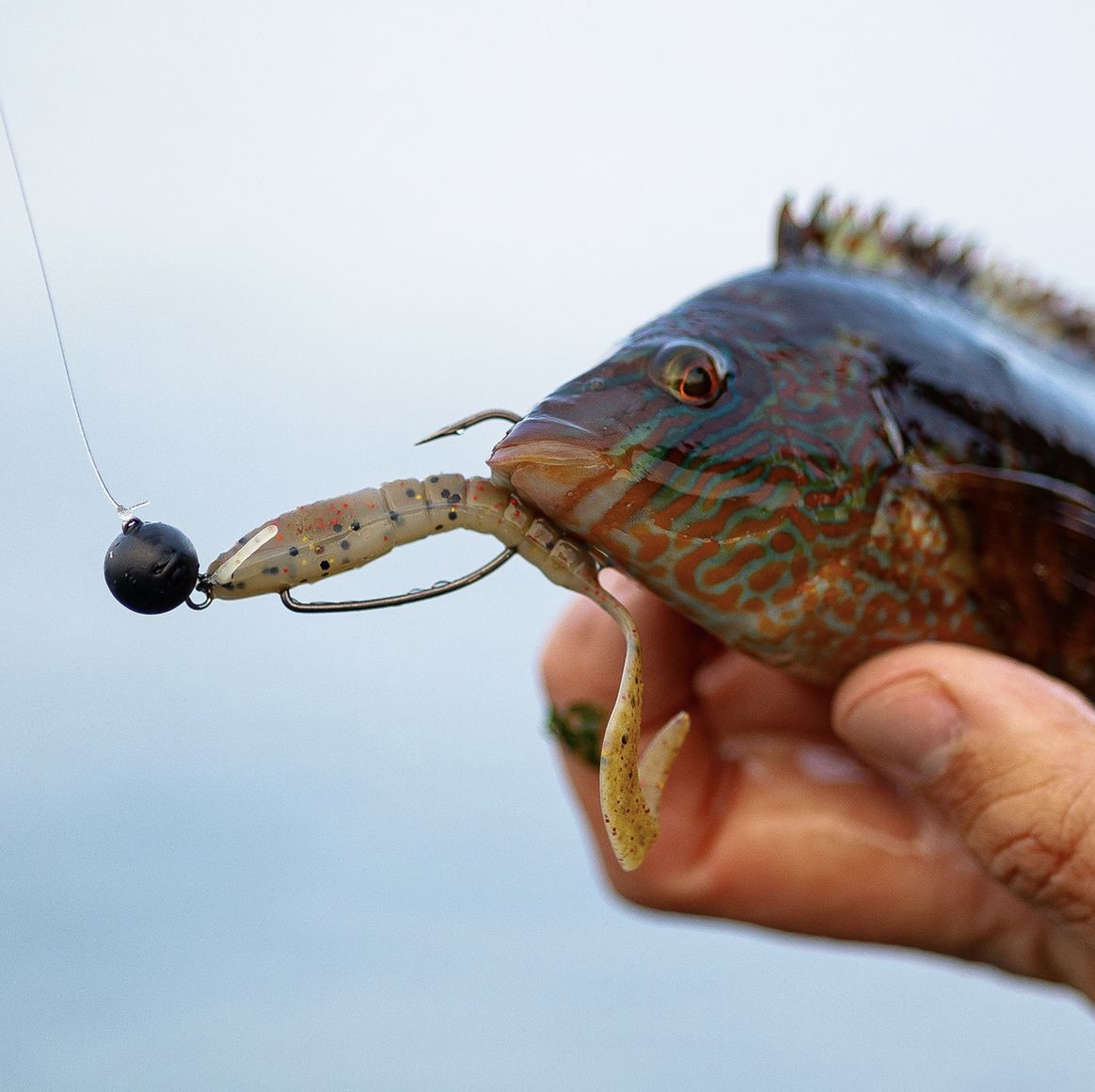 Tungsten Cheburashka Sinker - natural – Jaeger Fishing