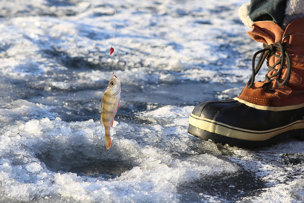 MUUNN Tungsten Diamond Ice Jigs,Winter Fishing Hook Plain 2.5mm~8mm,Crappie Trout Perch Lure Tackel,Hyabusa Ice Jigs