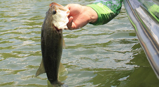 Complete Guide to Largemouth Bass Fishing