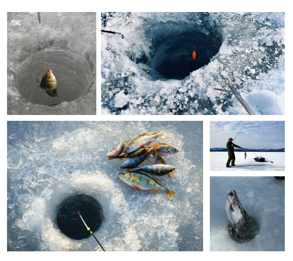 MUUNN 25pcs 50pcs Tungsten Ice Fishing Jig Head Set,Boxed 50 lot 2.7mm –  MUUNN FISHING TACKLE